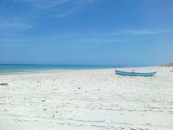 Kelibia Dar Allouche Vente Maisons Triplex avec magnifique vue sur mer