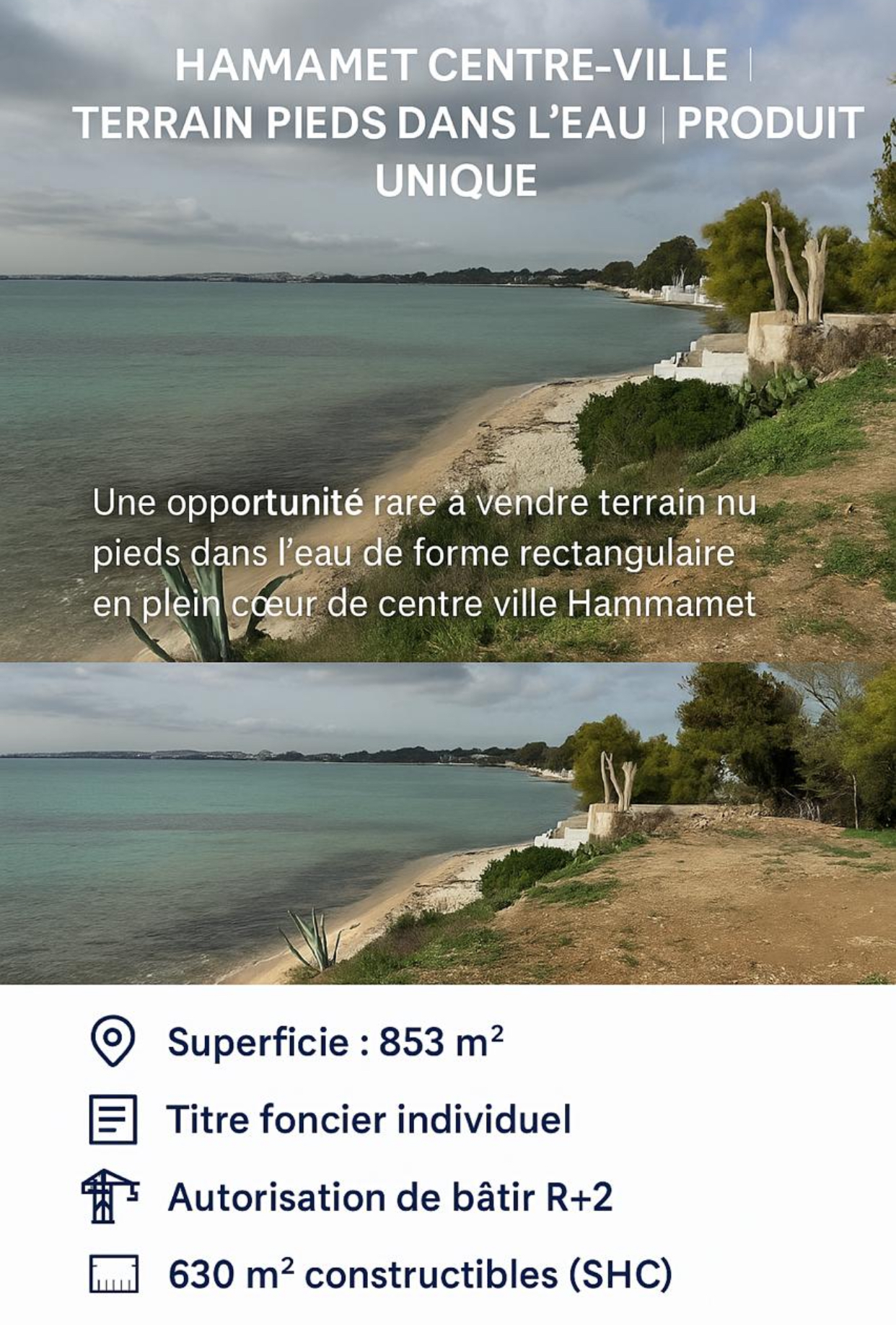 Hammamet Hammamet Terrain Terrain nu 853 m2 pieds dans l eau