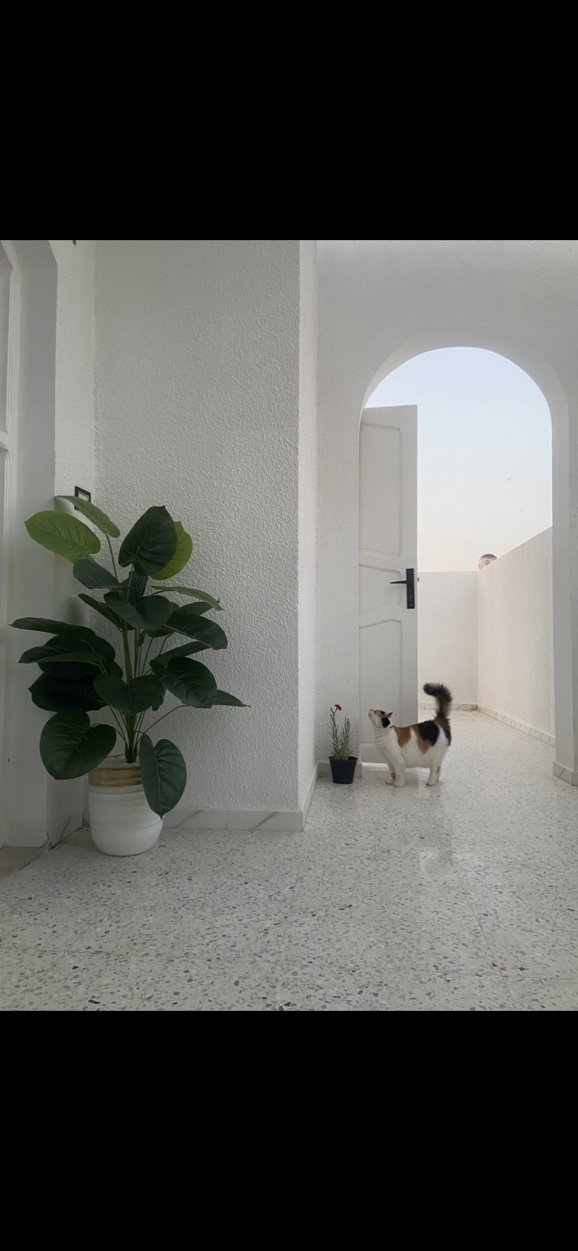 Sousse Riadh Sousse Riadh Vente Maisons Villa  vendrre sousse