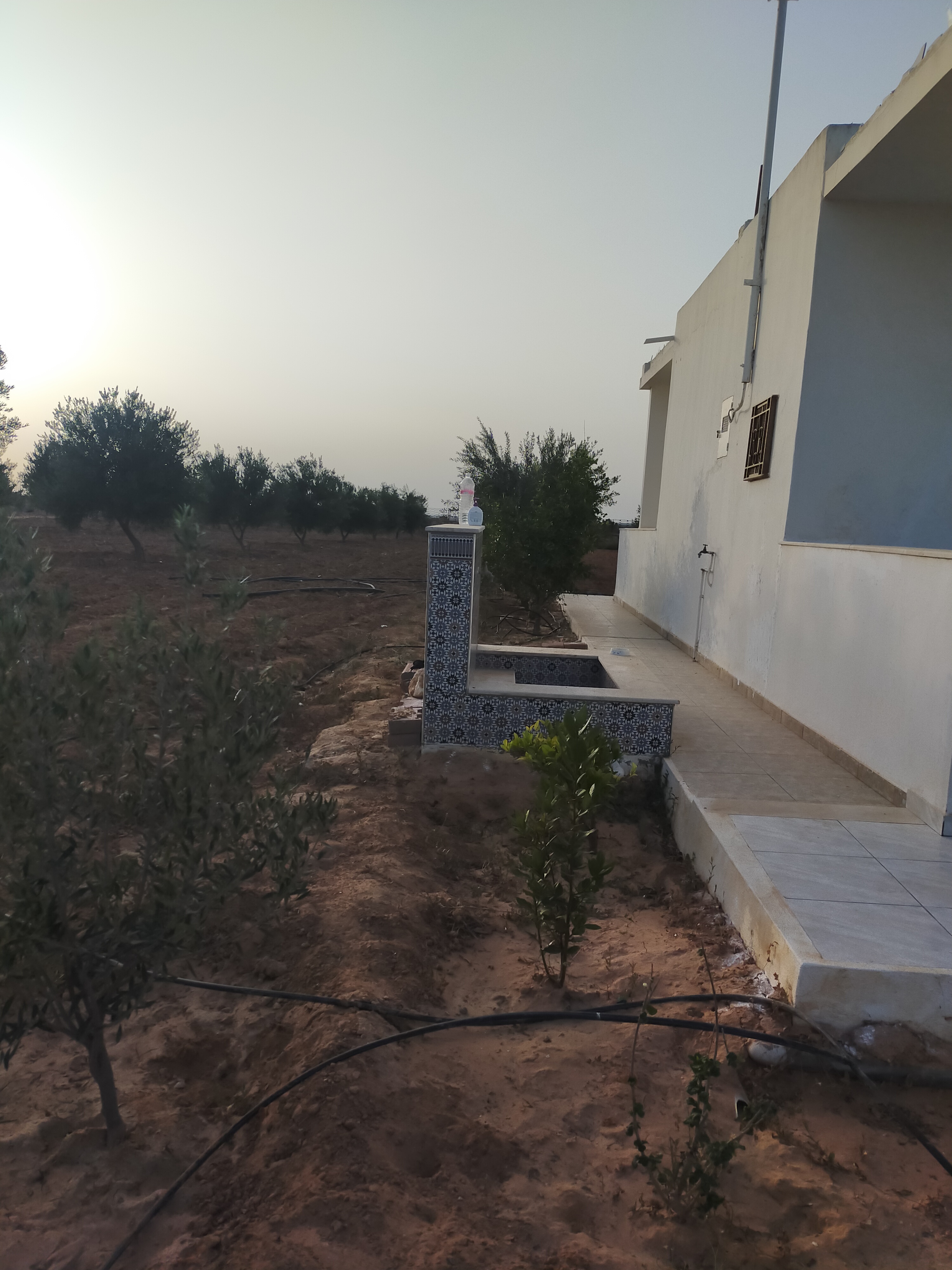 Sfax Ville Sfax Terrain Terrain agricole Terrain agricole gremda bouthadi sfax