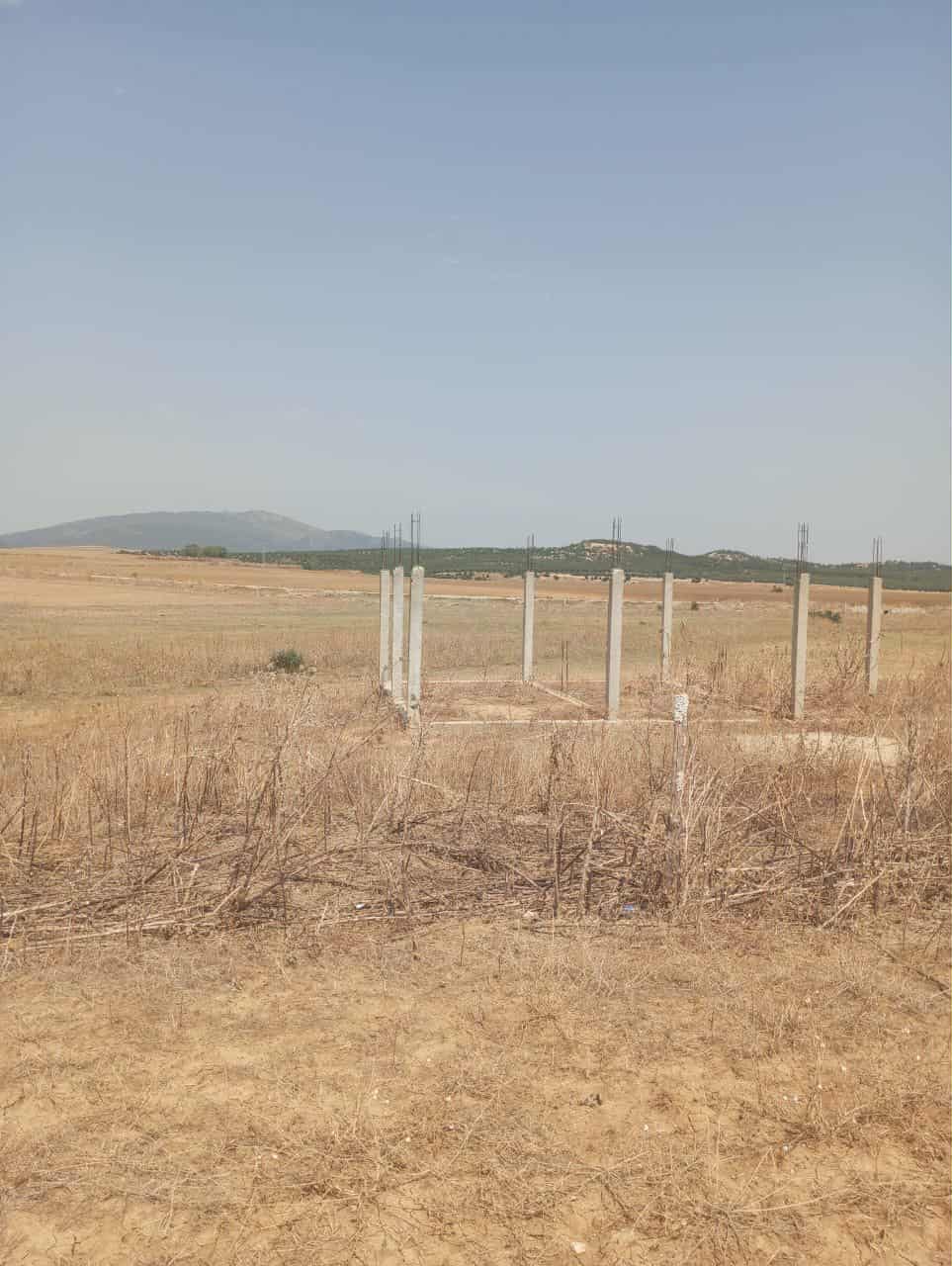 Hammam Zriba Bou Achir Terrain Terrain nu Av 7 hectares zaghouan direction hammamet
