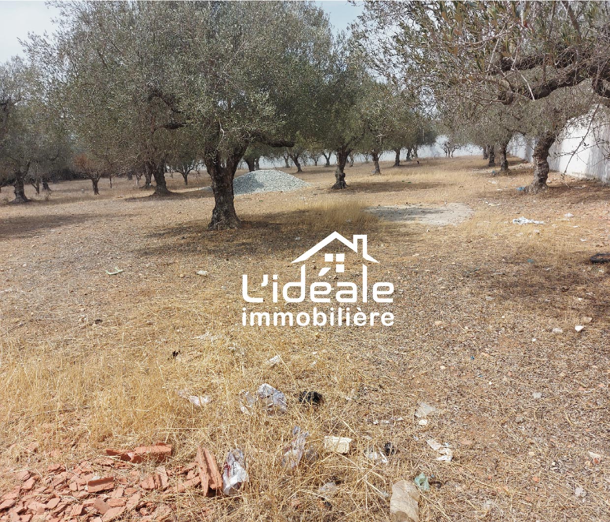 Hammamet Hammamet Terrain Terrain nu Terrain d'investissement  hammamet