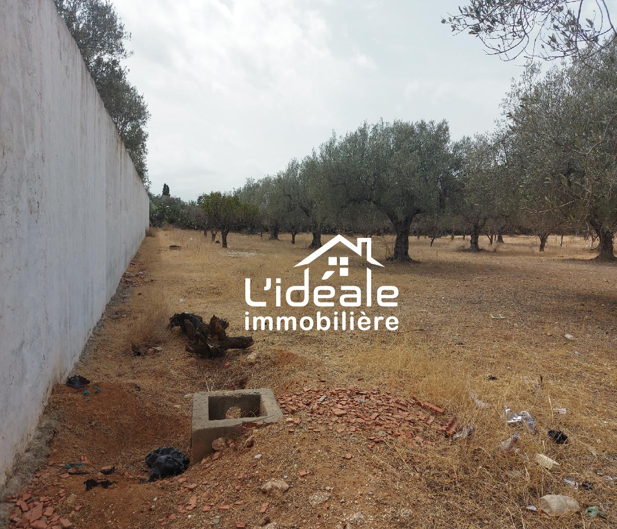 Hammamet Hammamet Terrain Terrain nu Terrain d'investissement  hammamet