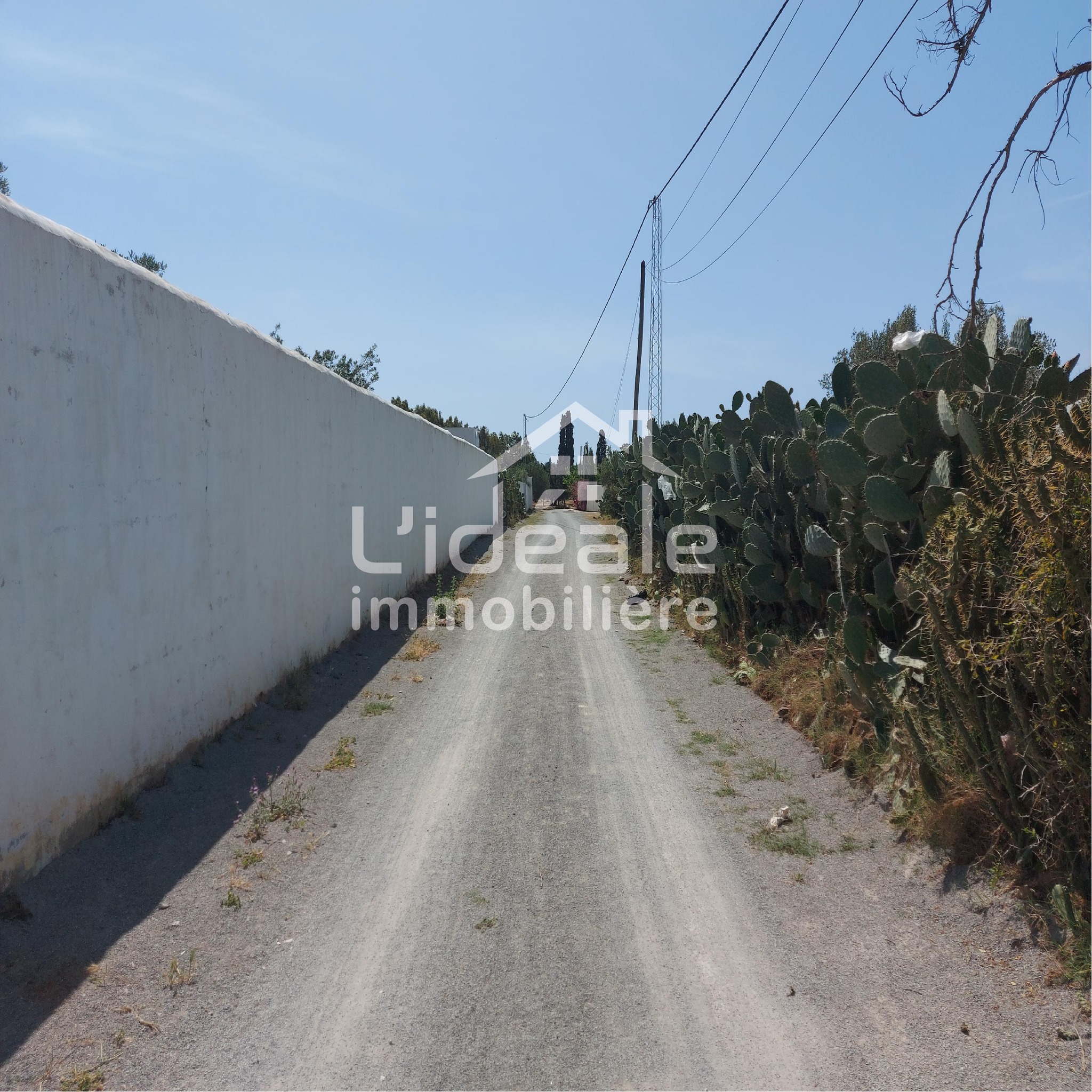 Hammamet Bir Bouregba Terrain Terrain nu Terrain mejdi  hammamet