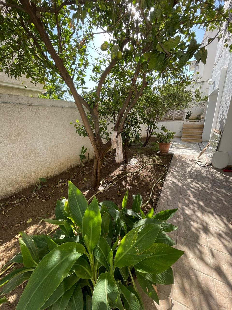 Mnihla Jardins d'el Menzah Location Appart. 4 pices Appartement s3  jardin d'el menzah 1