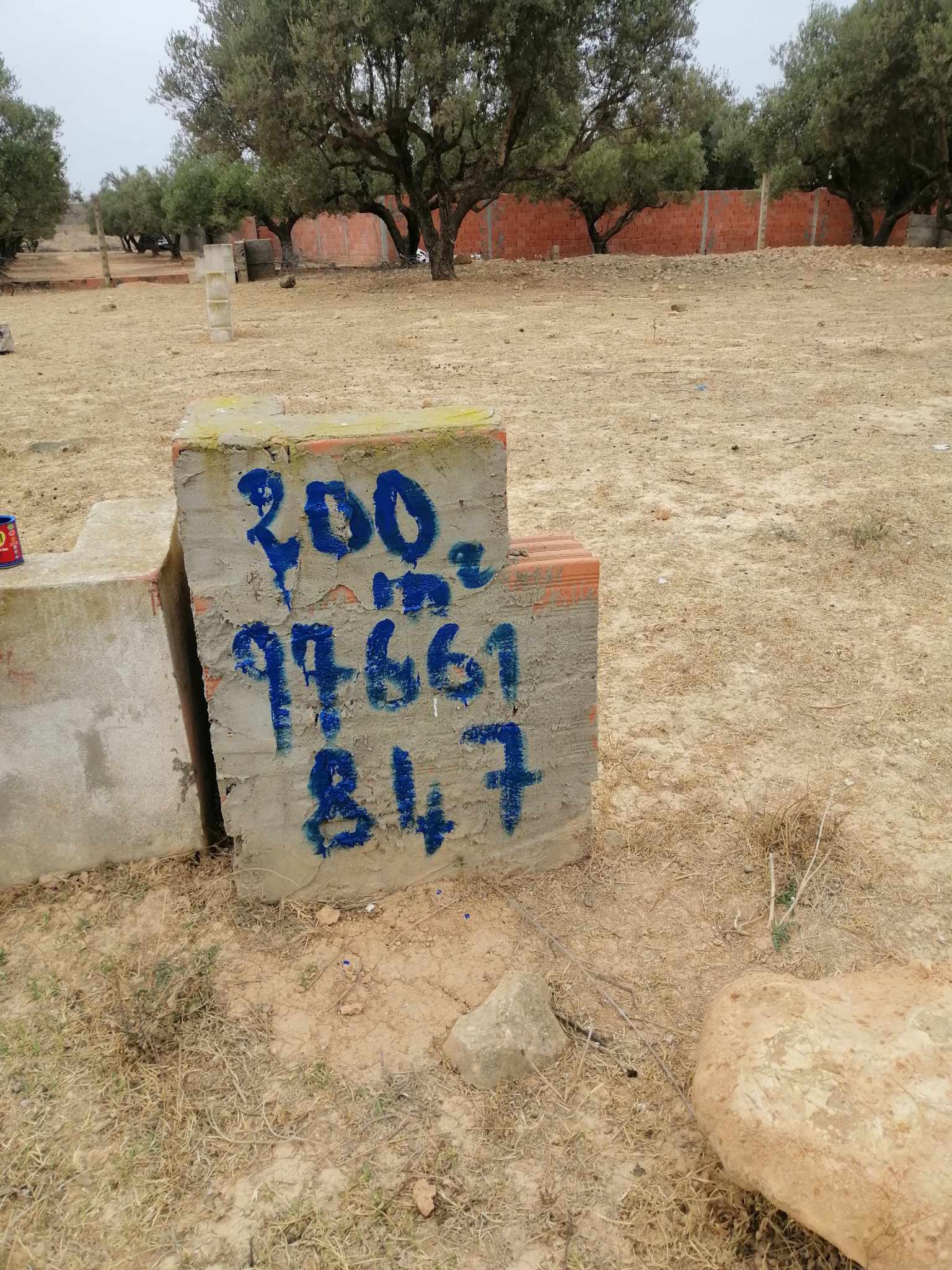 Oued Ellil Oued Ellil Terrain Terrain nu Terrain a oued ellil