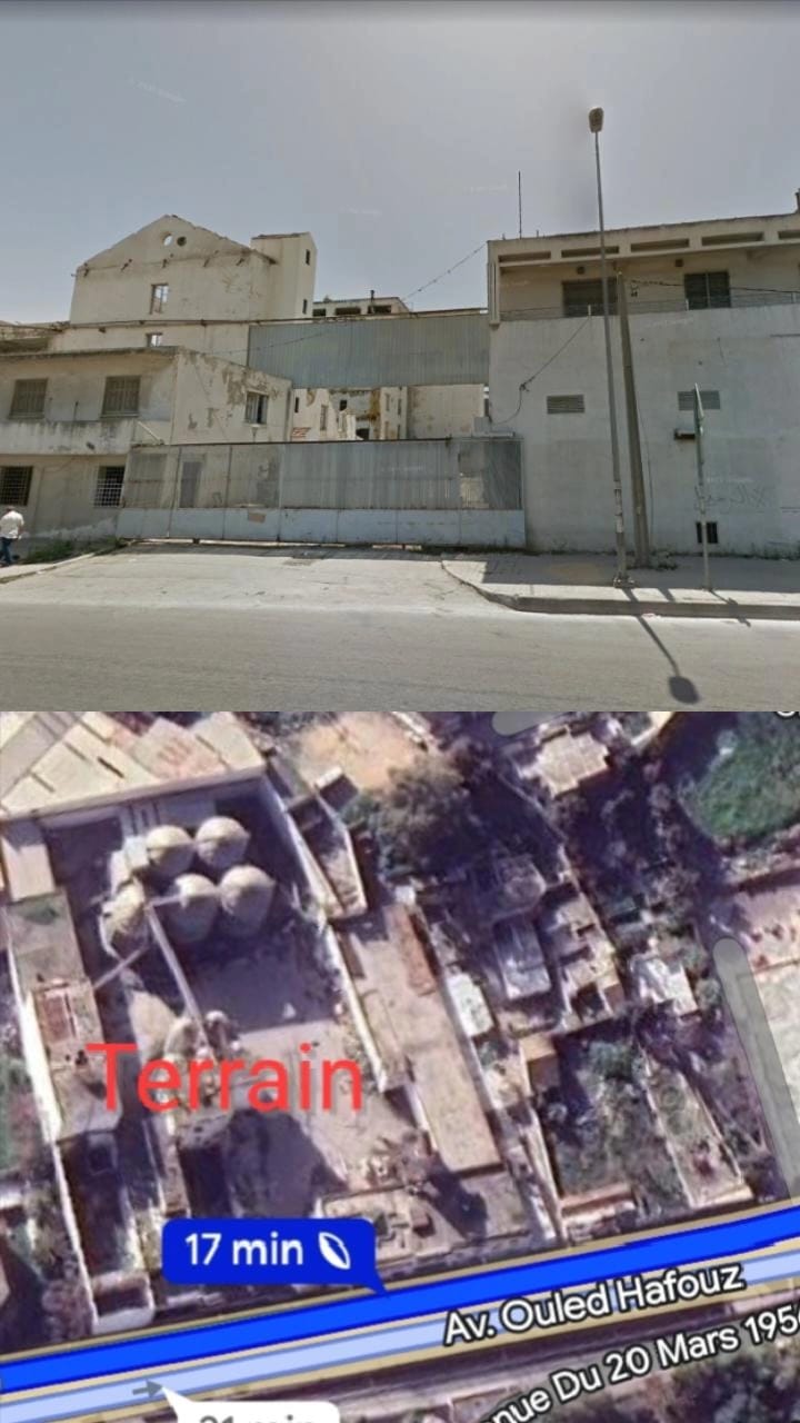 Le Bardo Le Bardo Terrain Terrain nu Terrain  bab saadoun