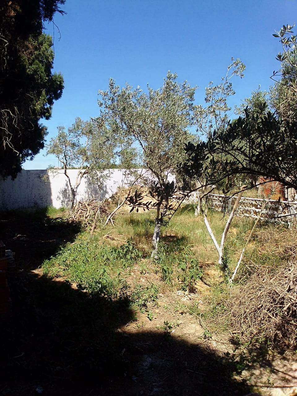 Ras Jebel Cite Kaa El Ballout Vente Maisons Maison s 2  terrain 308 m 2  700 de rue