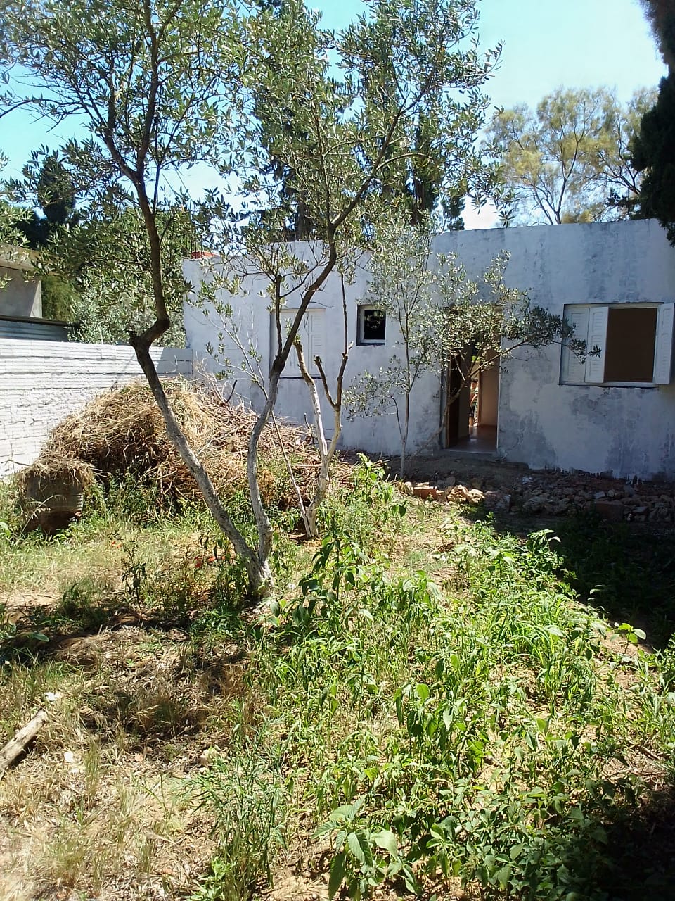 Ras Jebel Cite Kaa El Ballout Vente Maisons Maison s 2  terrain 308 m 2  700 de rue