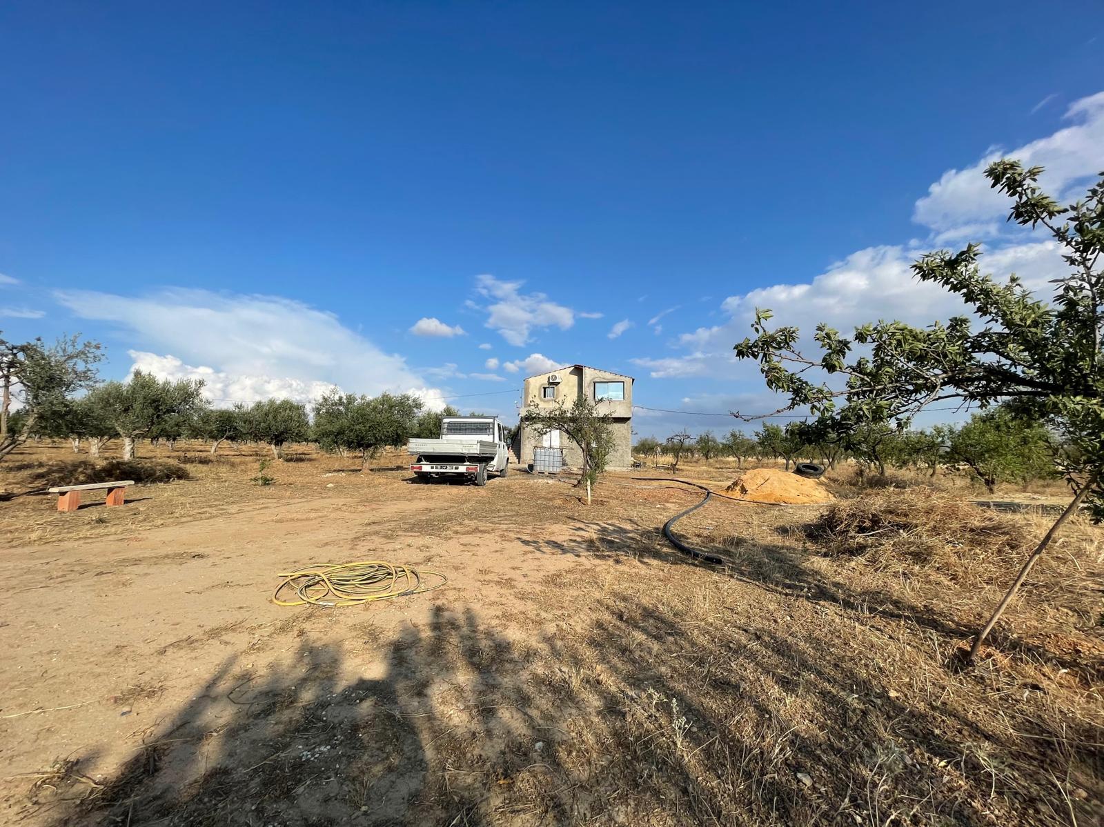 Bir Mcherga Boucha Terrain Terrain agricole Belle ferme de 6 hectares  dour ismail