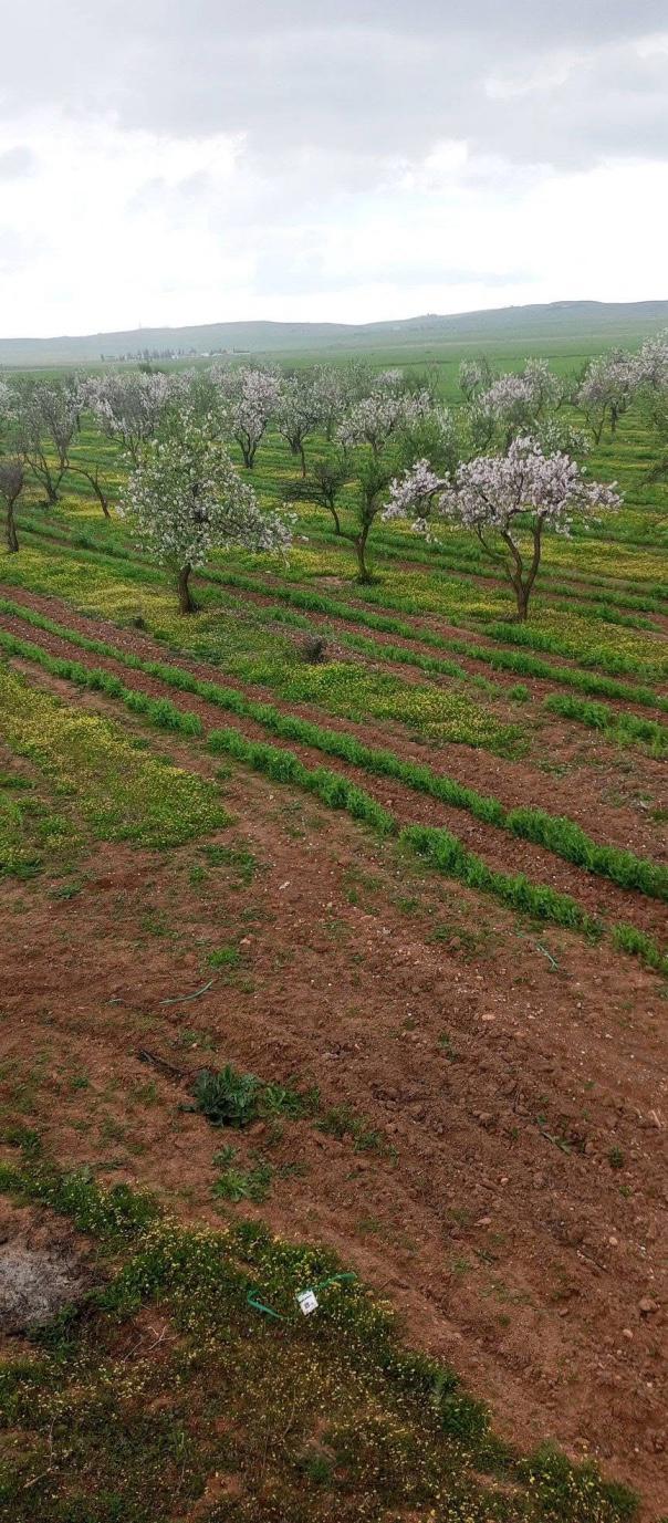 Bir Mcherga Boucha Terrain Terrain agricole Belle ferme de 6 hectares  dour ismail
