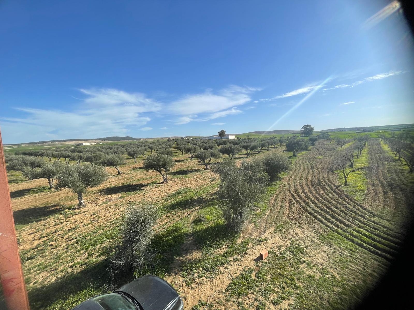 Bir Mcherga Boucha Terrain Terrain agricole Belle ferme de 6 hectares  dour ismail