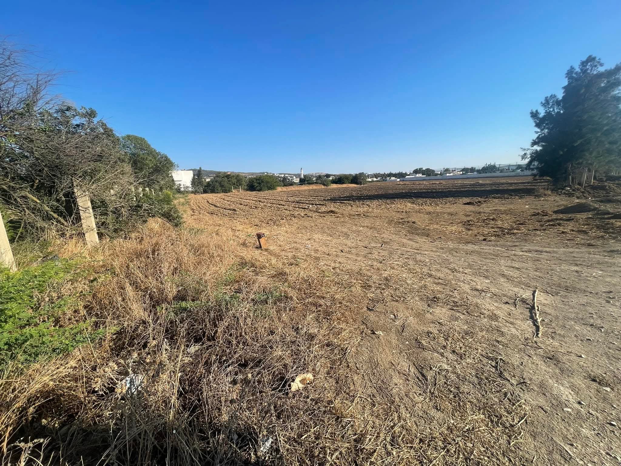 Raoued Borj Touil Terrain Terrain agricole Terrain  borj touil