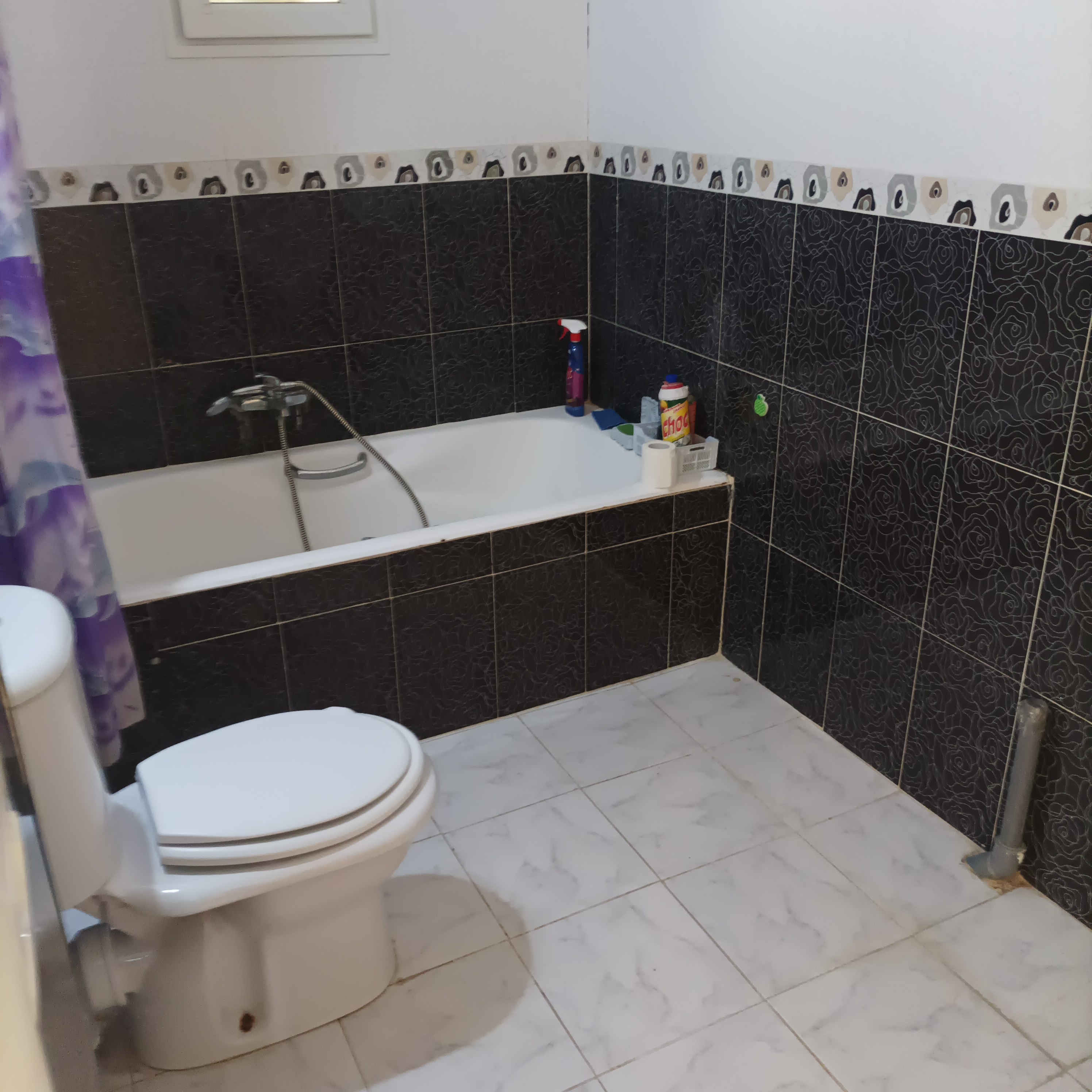 Raoued Cite Ennkhilet Location Appart. 1 pice Studio similaire  une petite villa