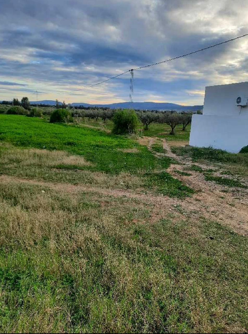 Soliman Dhahri Terrain Terrain agricole Occasion  ne pas rater