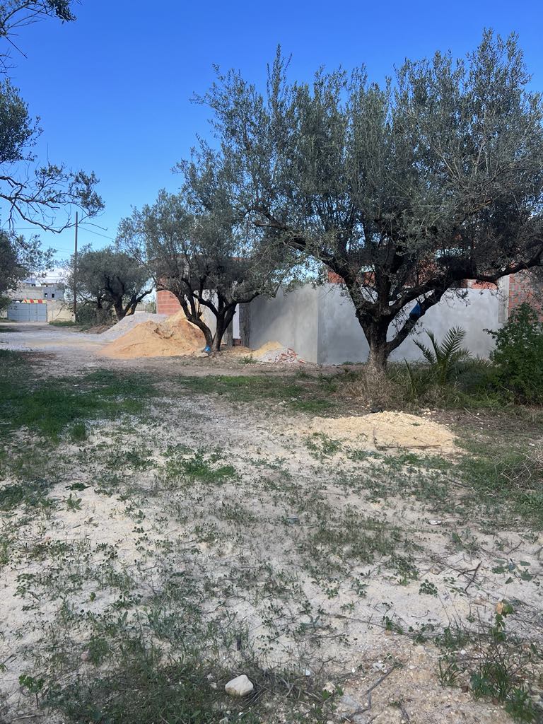 Hammam Lif Bou Kornine Terrain Terrain nu Terrain dans un lotissement