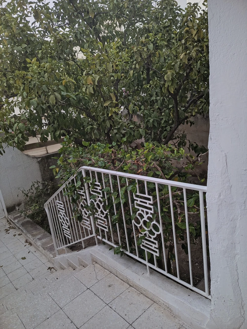 El Menzah El Menzah 9 Location Appart. 1 pice S1 menzazh 9 rf 187