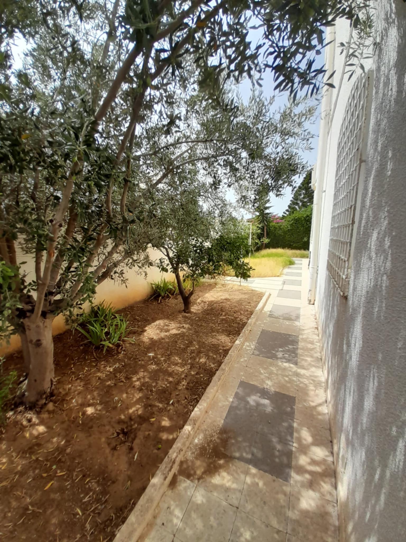 Bou Mhel El Bassatine Bou Mhel Vente Maisons S6  boumhal belair