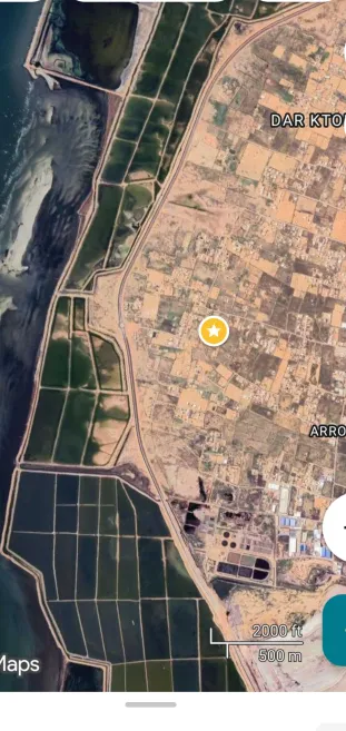 Sfax Sud Tyna Terrain Terrain nu Terrain sfax thyna