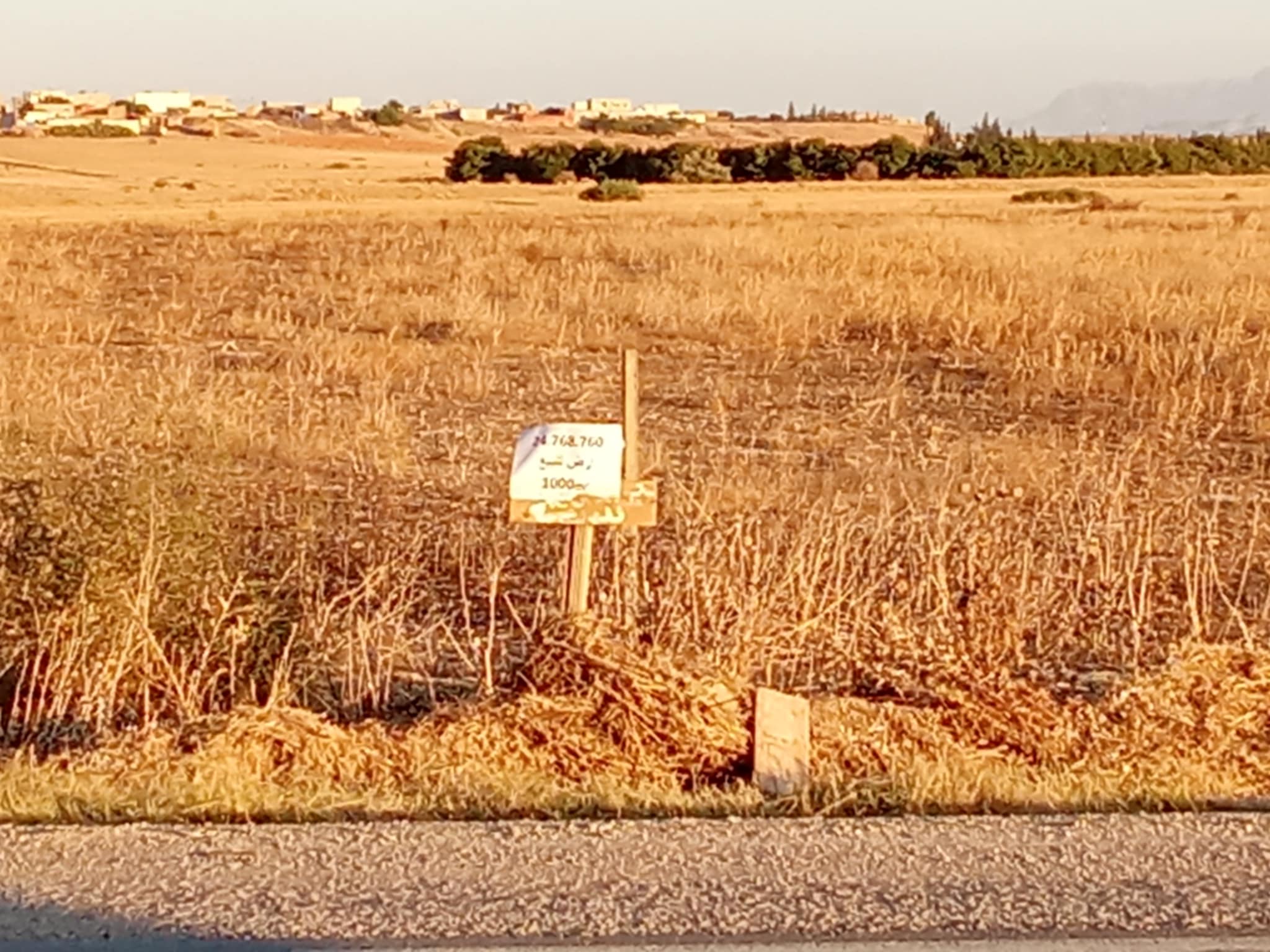 Mornaguia El Fejja Terrain Terrain nu Terrain 1000m2