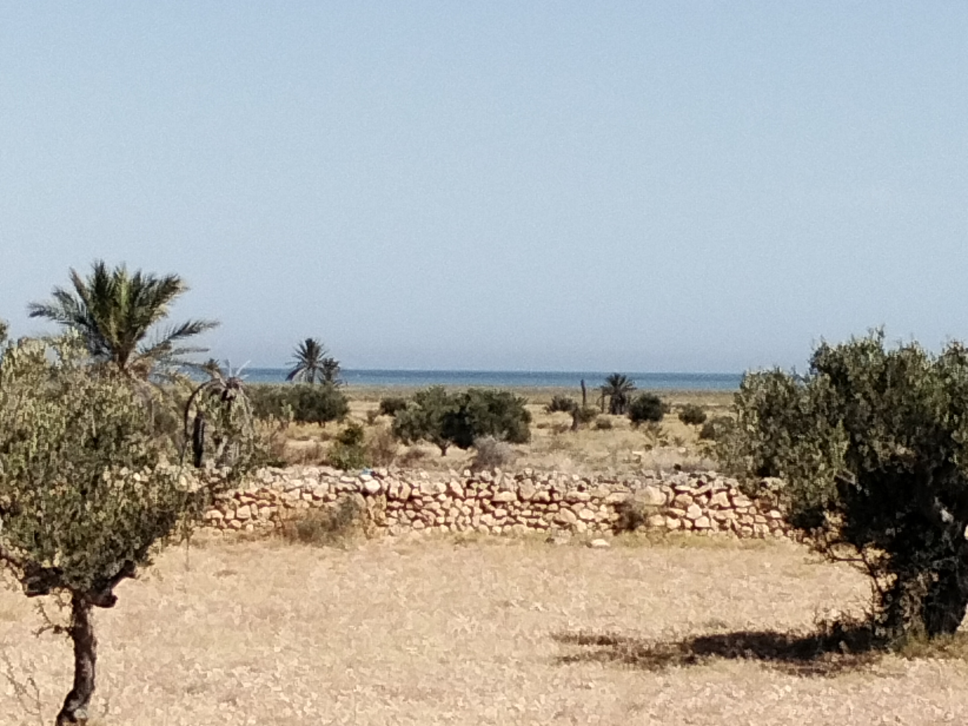 Kerkenah Ennajet Vente Maisons Maison dar arbi avec deux terrains constructibles