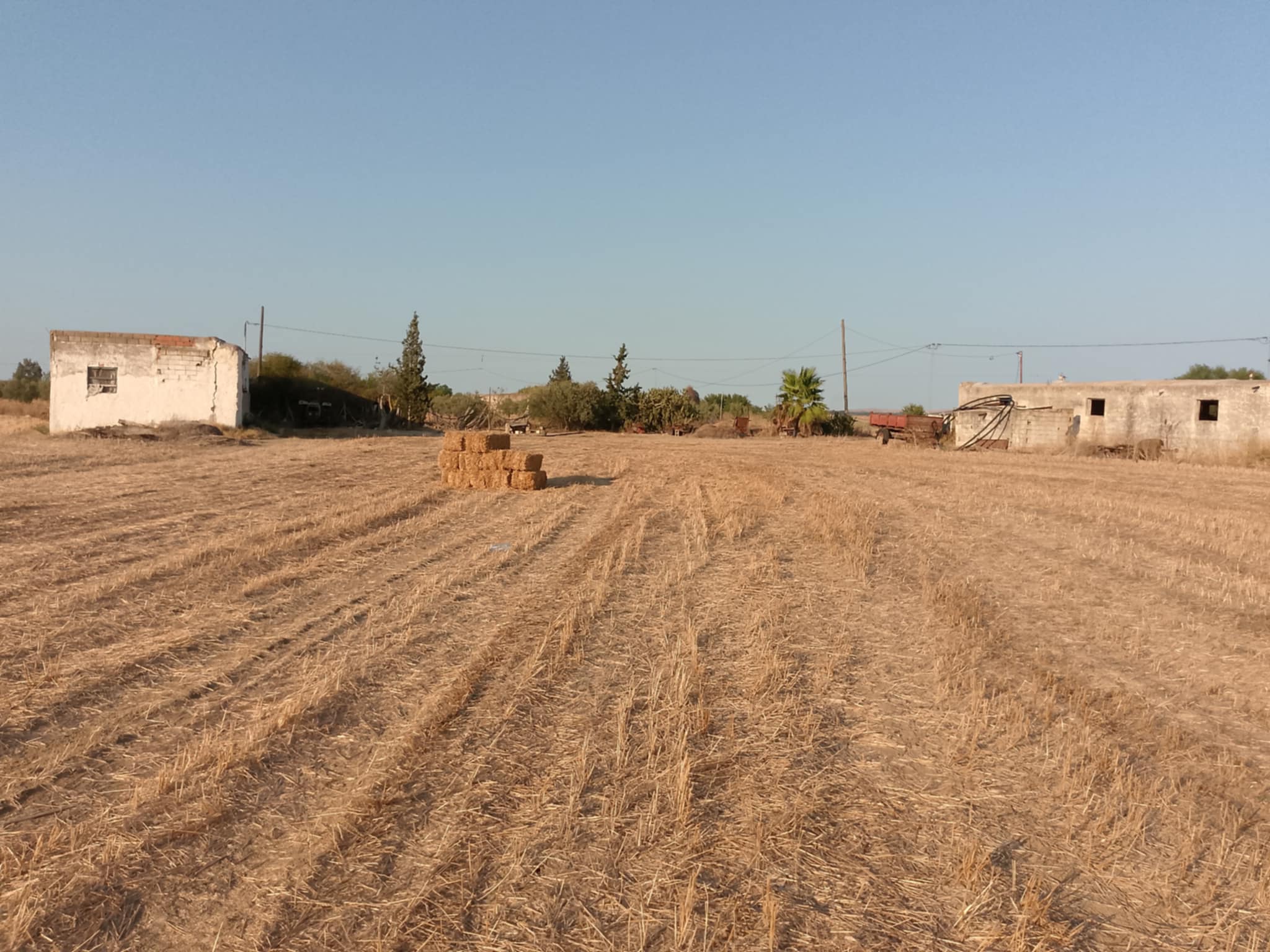 Jedaida Chaouat Terrain Terrain nu Un terrain a chawatt