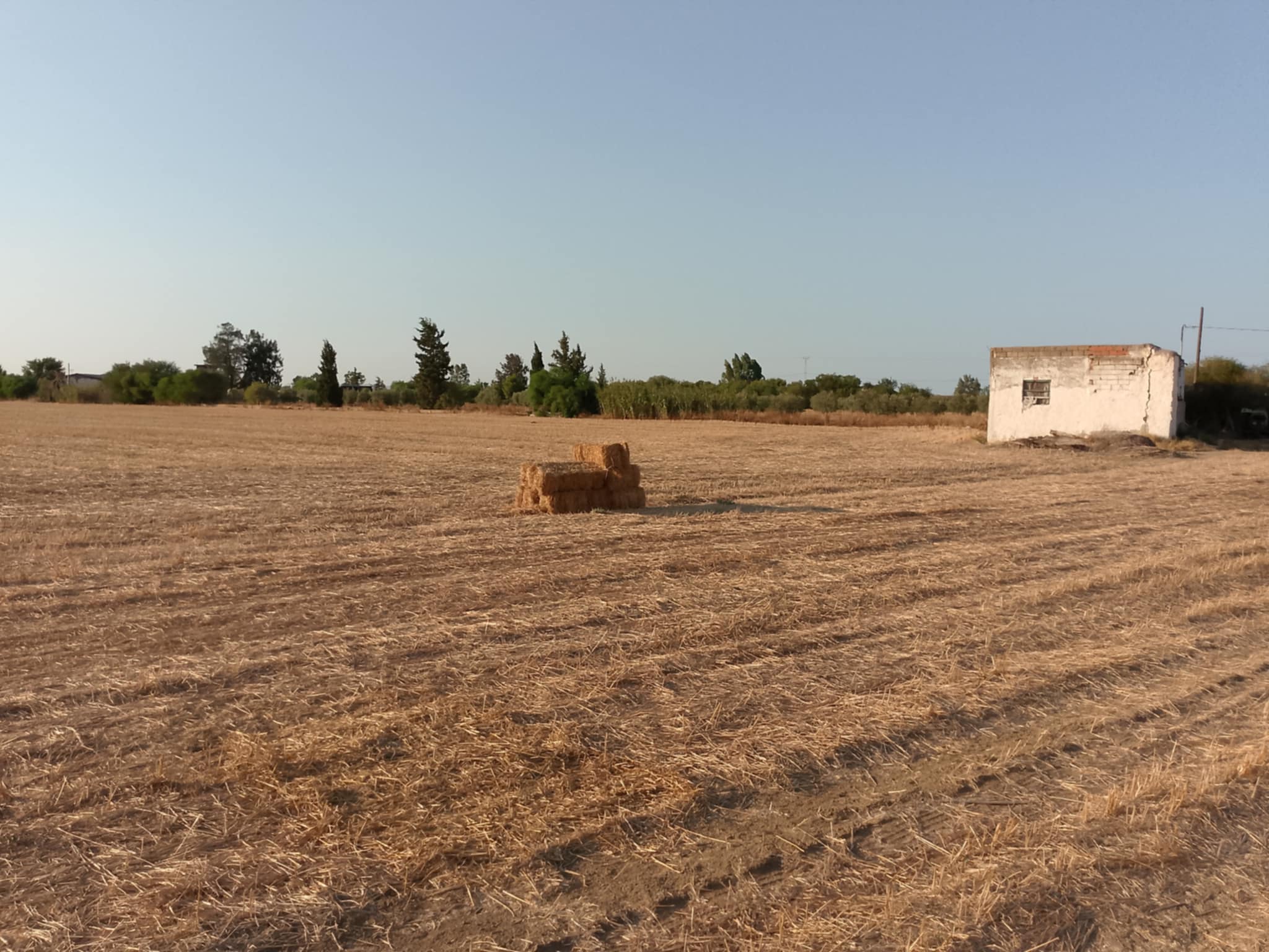 Jedaida Chaouat Terrain Terrain nu Un terrain a chawatt