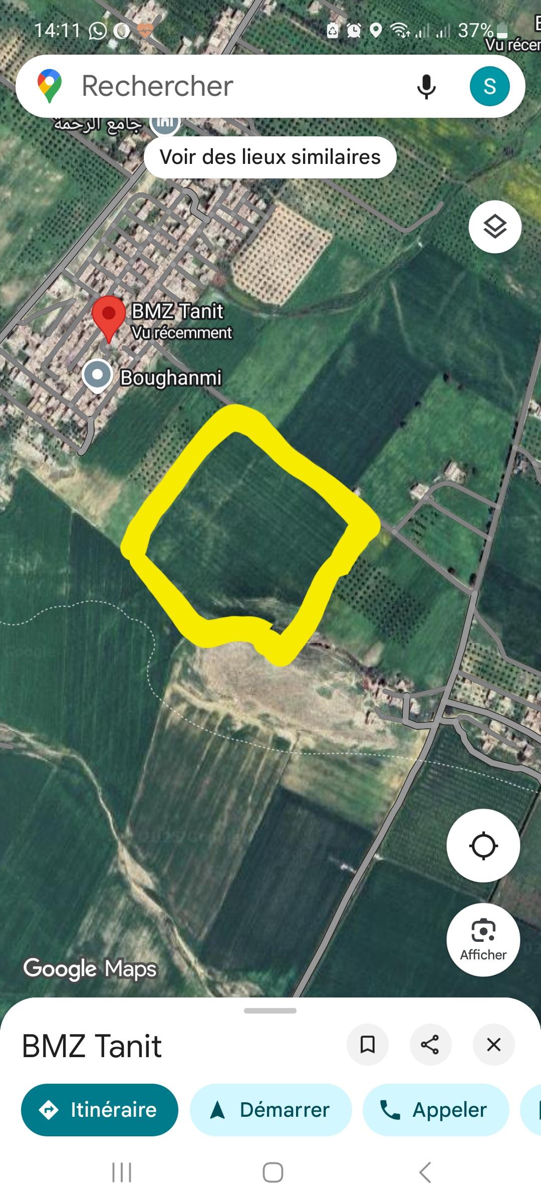 Sidi Hassine Birine Terrain Terrain agricole Terrain agricole situe a birine