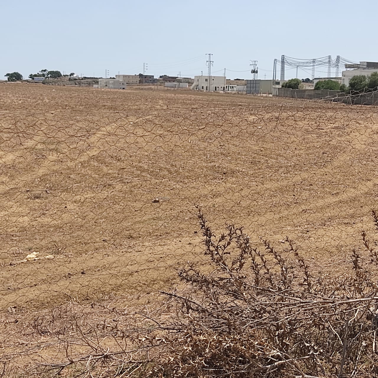 Takelsa Sidi Issa Terrain Terrain agricole Projet agricole