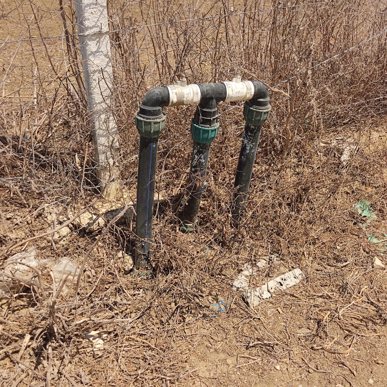 Takelsa Sidi Issa Terrain Terrain agricole Projet agricole