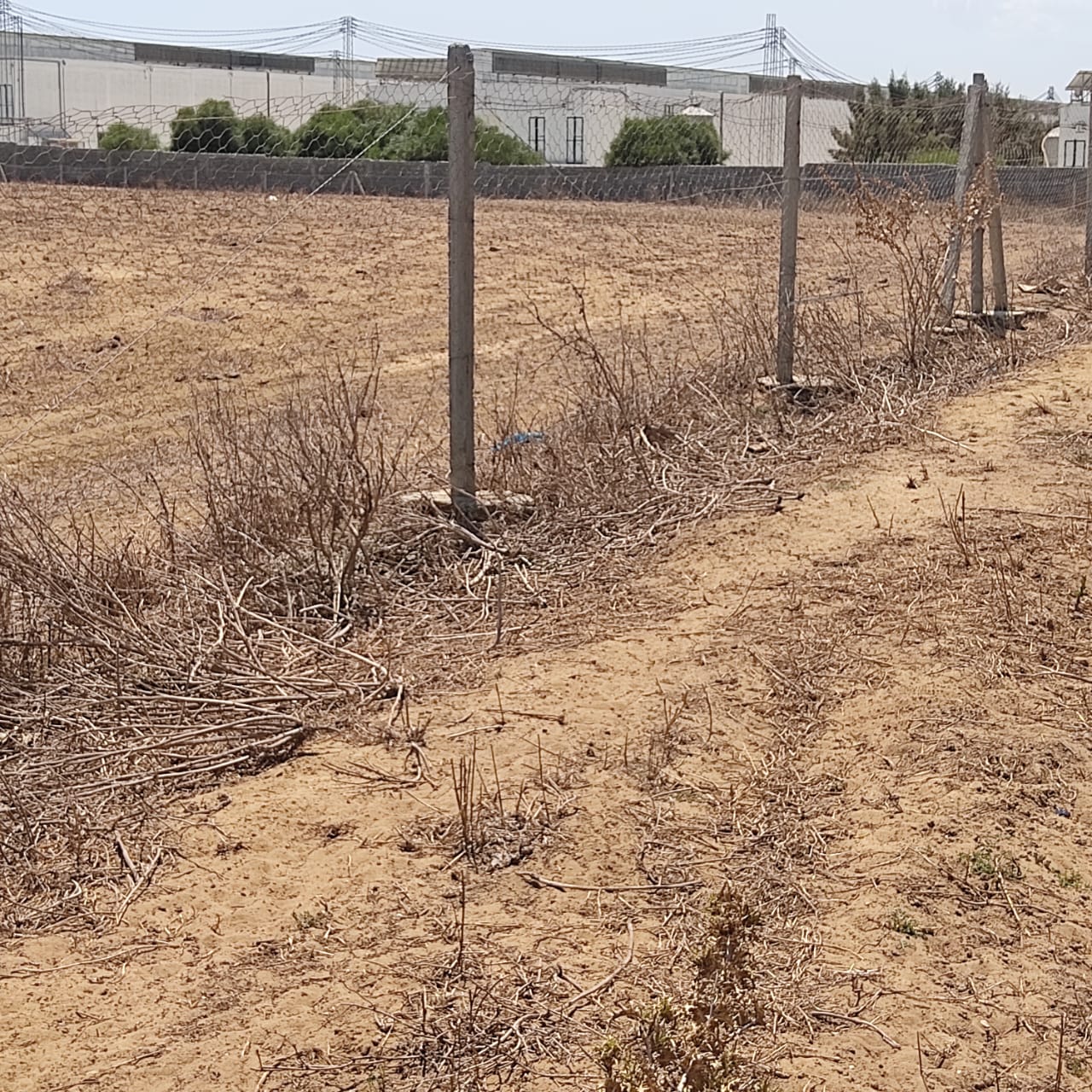 Takelsa Sidi Issa Terrain Terrain agricole Projet agricole