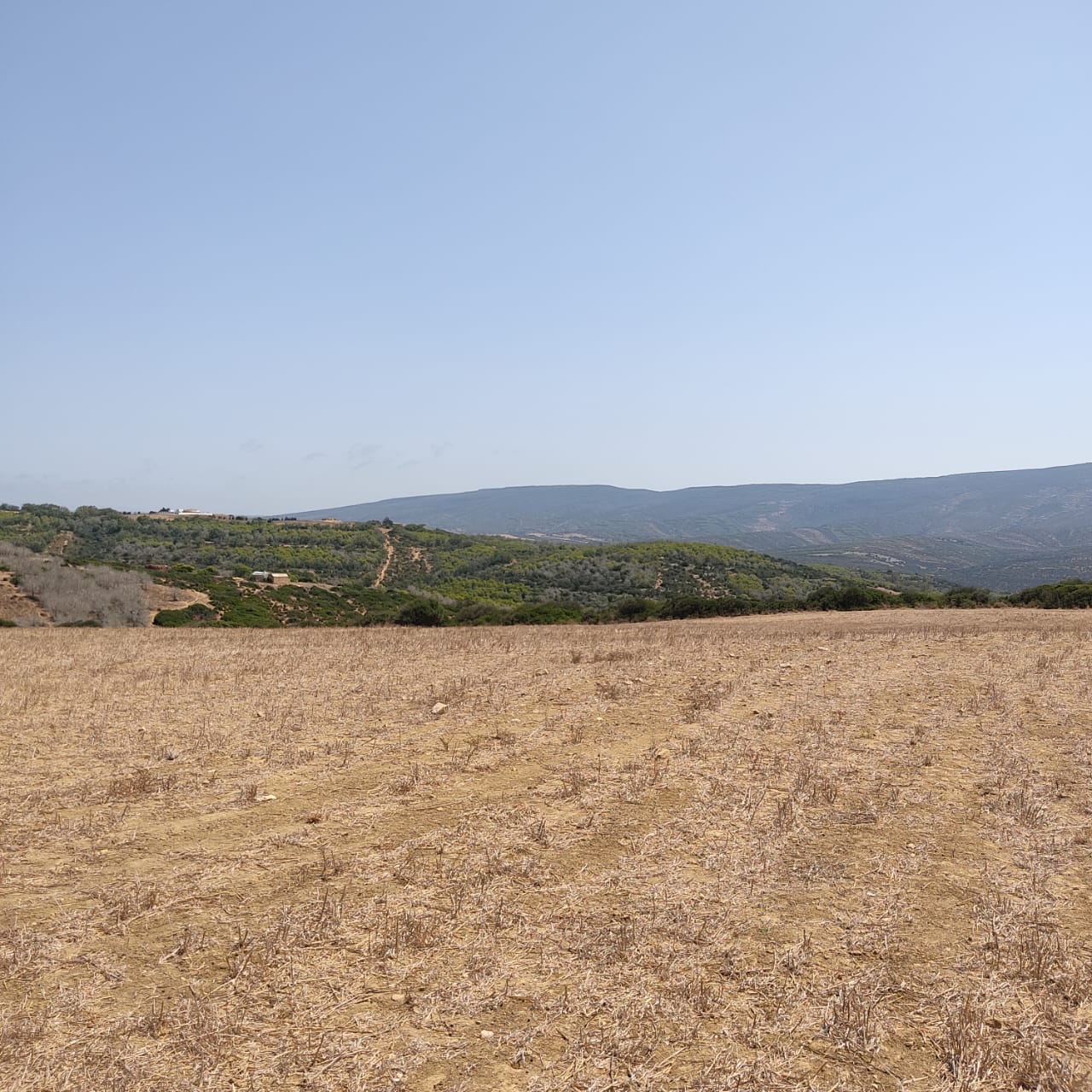 Takelsa Sidi Issa Terrain Terrain agricole Bonne affaire