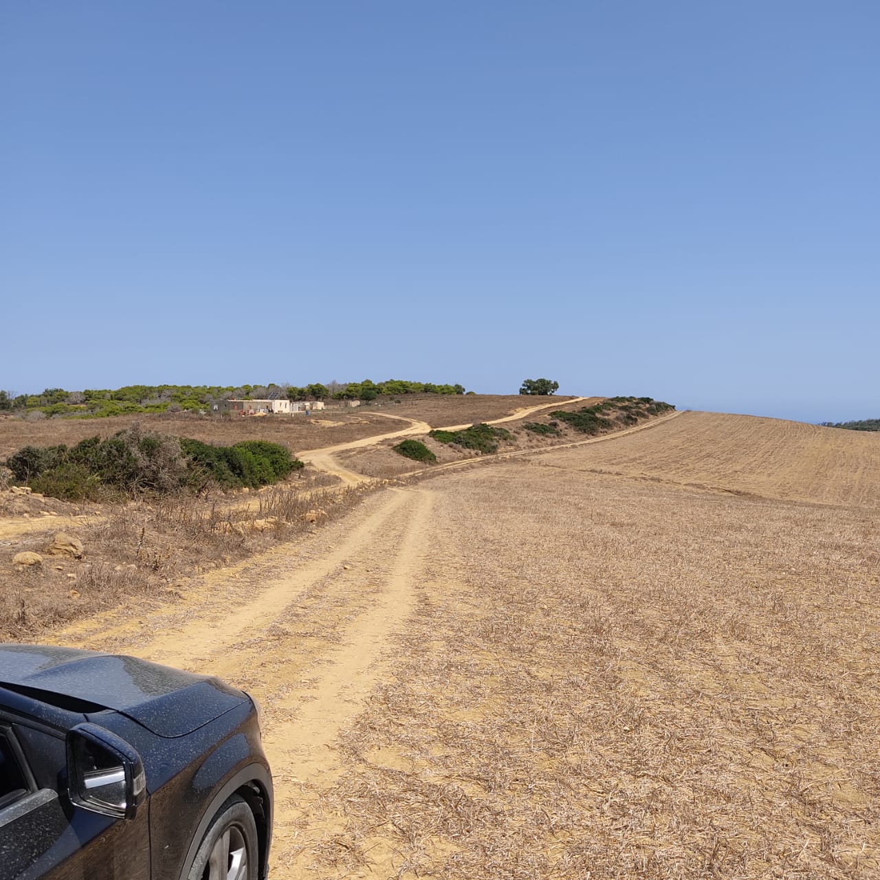 Takelsa Sidi Issa Terrain Terrain agricole Bonne affaire