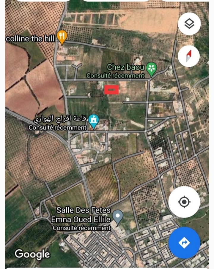 Oued Ellil Oued Ellil Vente Surfaces Terrain 160 mtre