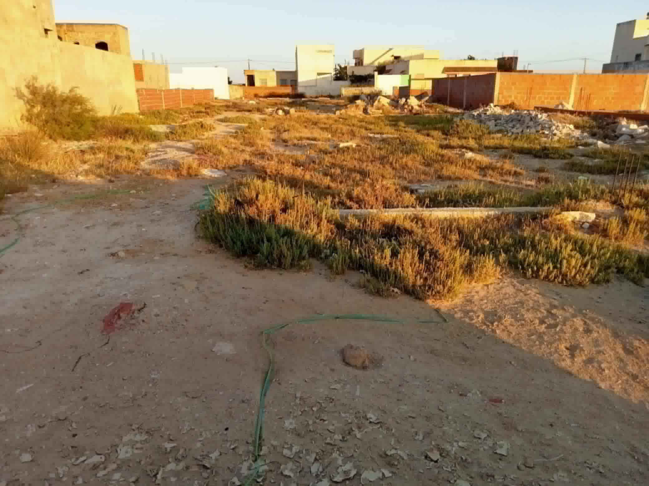 Raoued Cite Des Juges Terrain Terrain nu Terrain  raoued