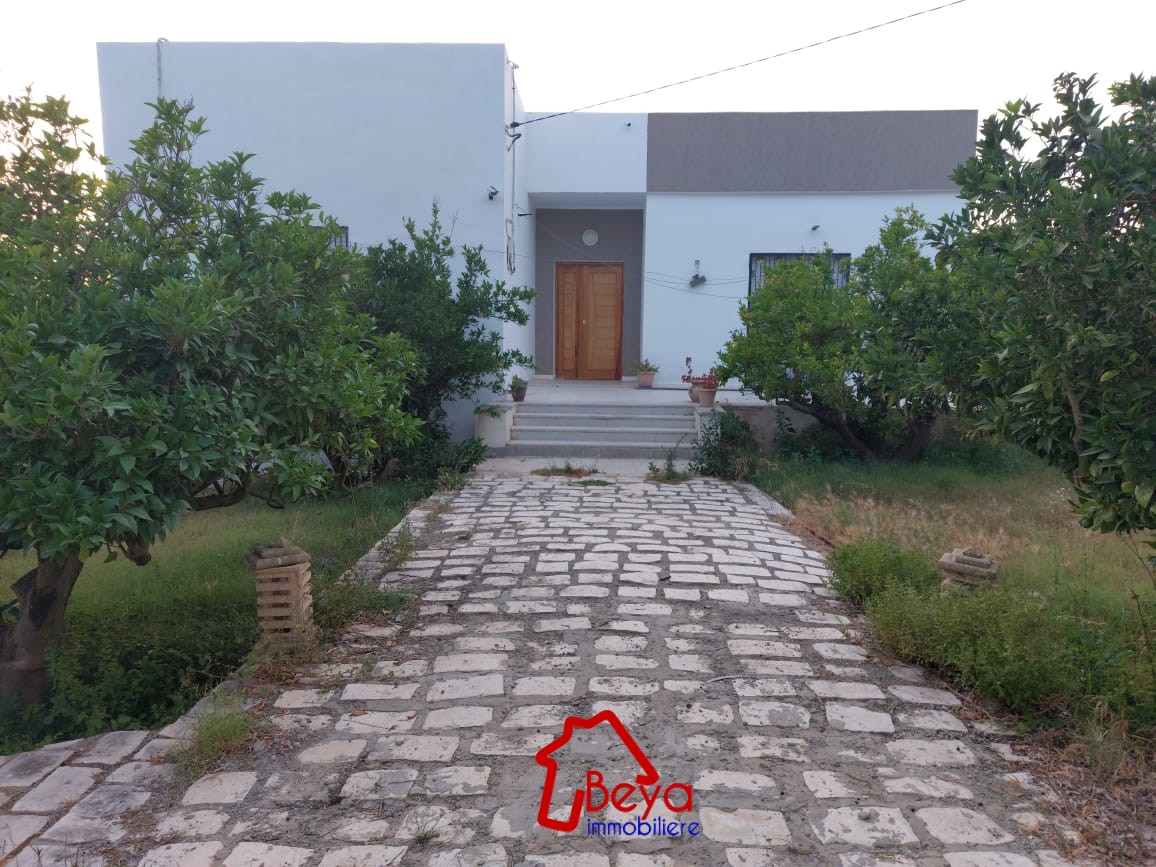 Soliman Soliman Vente Maisons Villa avec piscine et un jardin vvm049