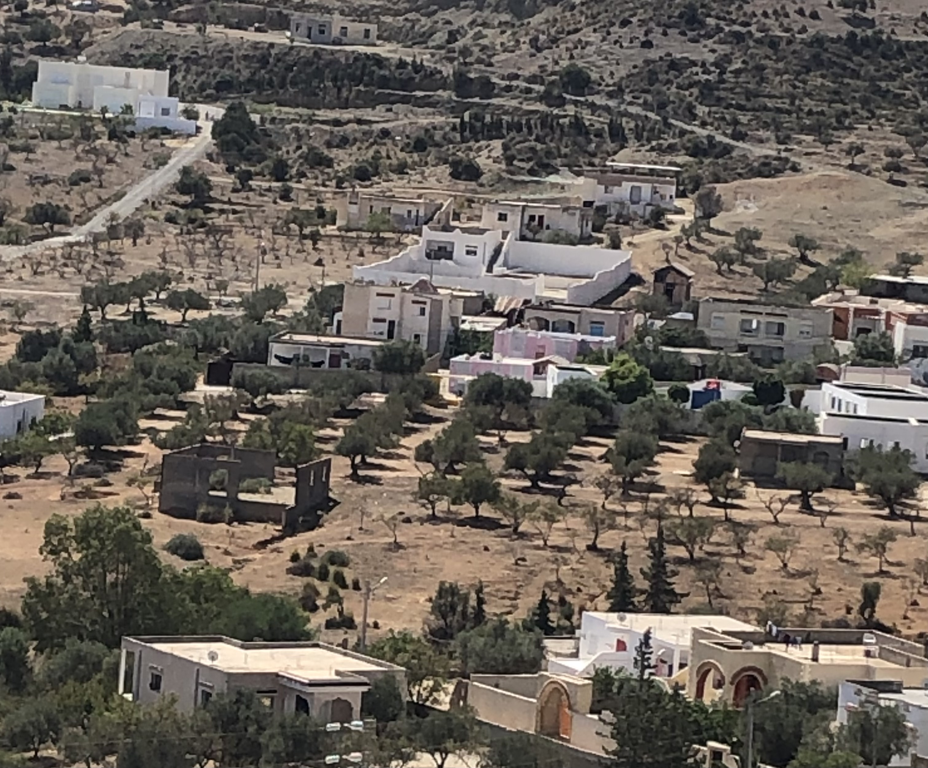 Sidi Thabet Jabbes Terrain Terrain agricole Terrain avec maison