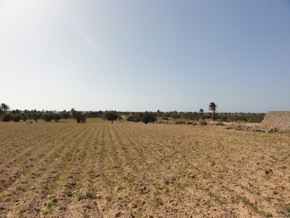 Sidi Thabet Chorfech Vente Autre Terrain chorfech