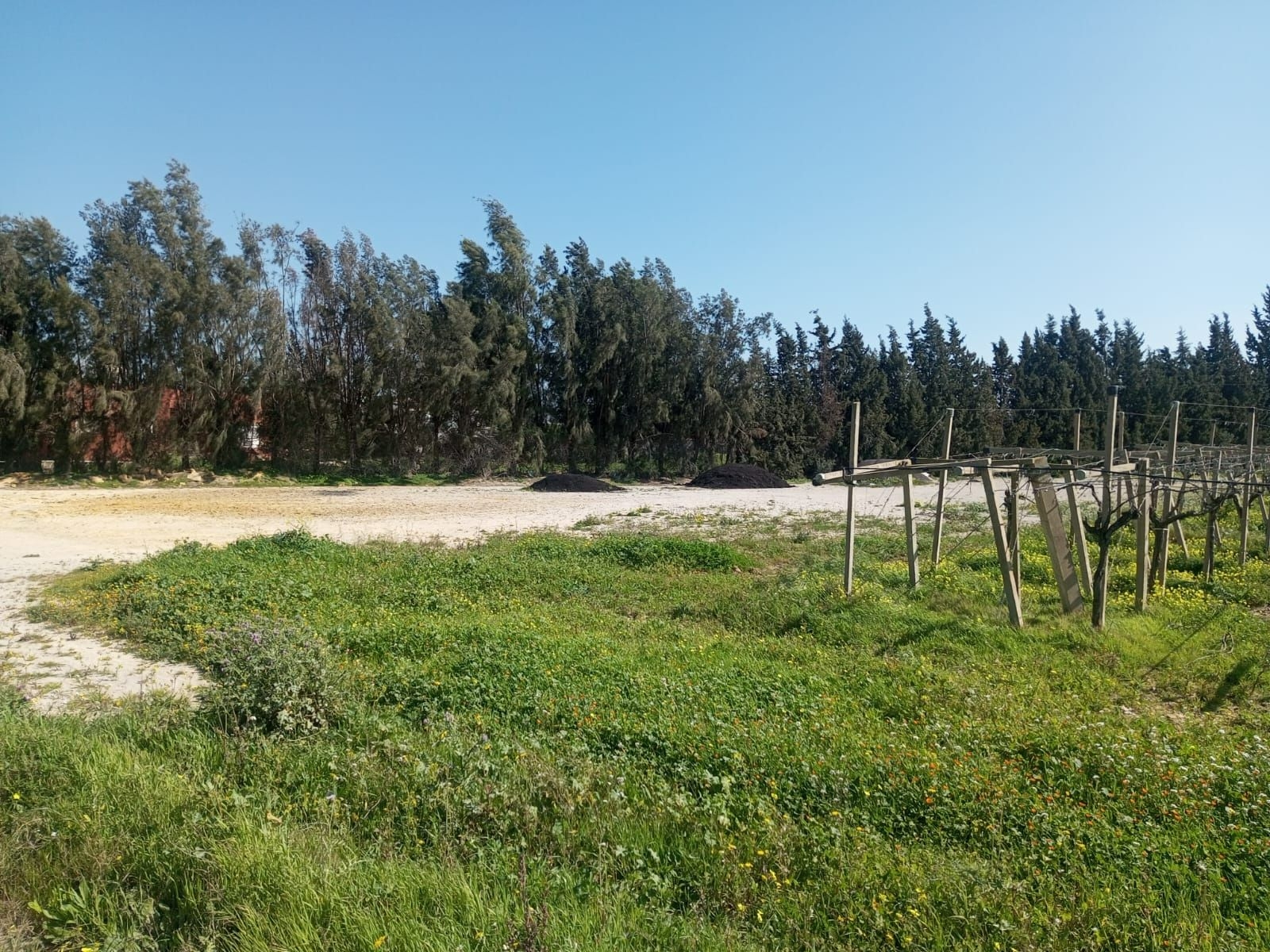 Mornag Ahmed Zaied Vente Autre Terrain 2 hectars ben arous mornag