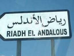 Ariana Ville Cite Essaada (Riadh Andalous) Vente Autre Terrain riadh landalous