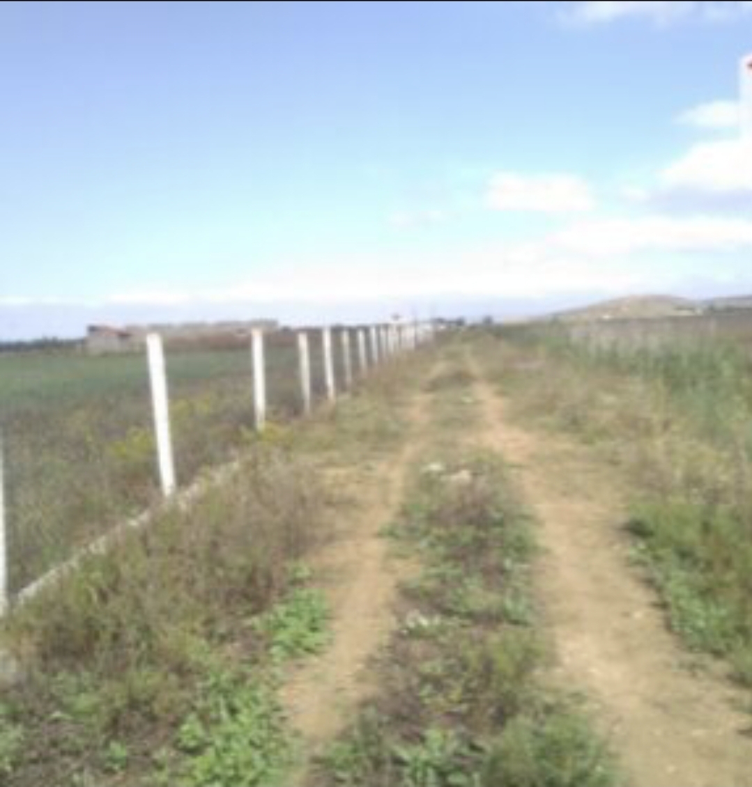 Sidi Thabet Borj Youssef Terrain Terrain agricole Terrain agricole