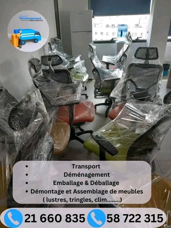 Ariana Ville Cite Ennasr 1 Tranport & dmnagement Autre Dmnagement complet