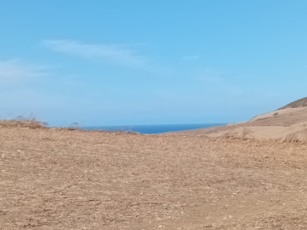 Bizerte Nord Bizerte Vente Surfaces Route ras angela  2 minutes de la plage