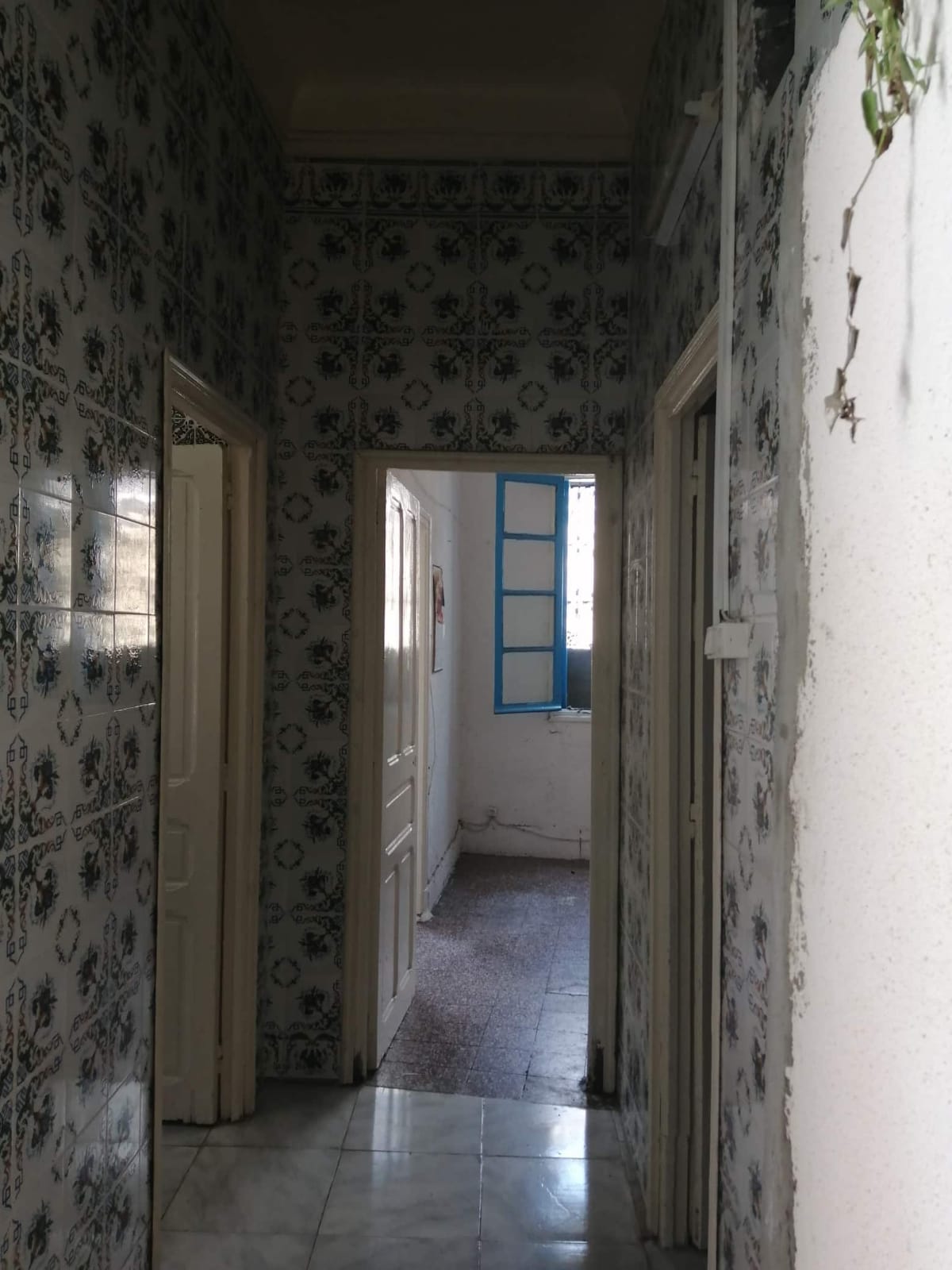 La Medina Tourbet El Bey Vente Maisons Immeuble mdina de tunis torbet el bey
