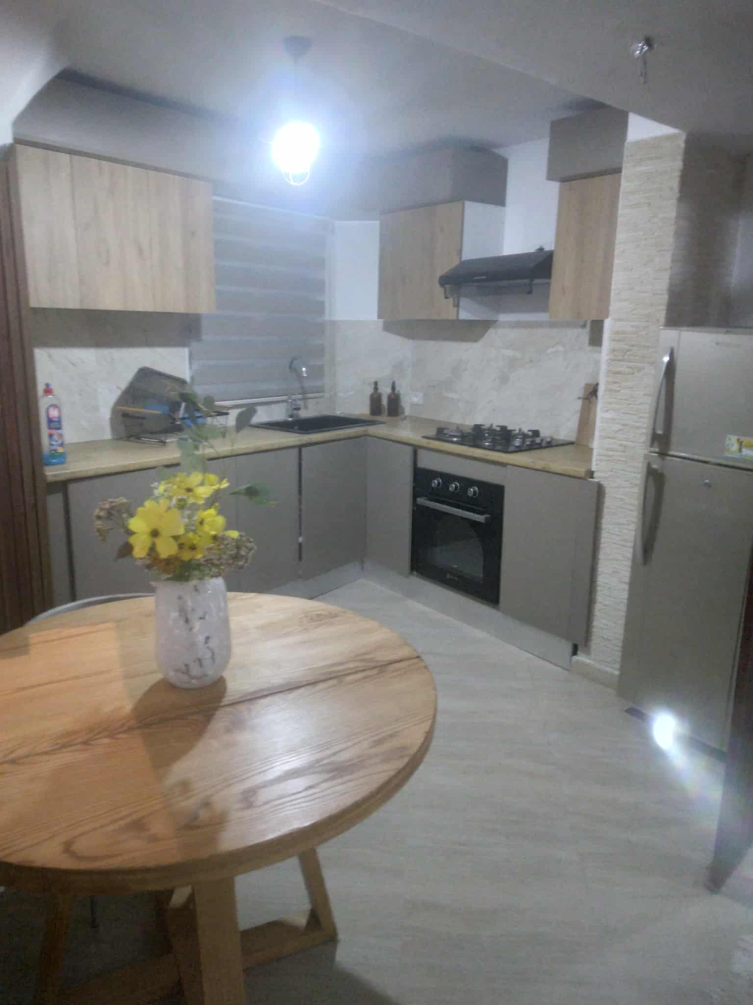 Carthage El Yasmina Location Appart. 2 pices S1 luxe meuble avec terrasse carthage yasmina