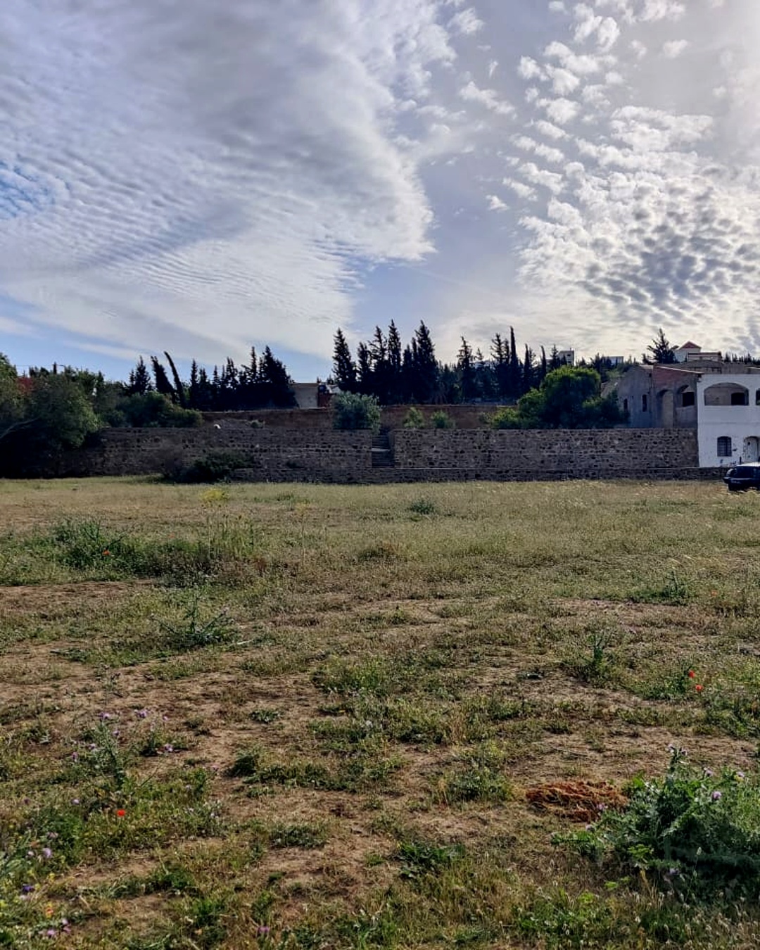Hammamet Bir Bouregba Terrain Terrain nu Terrain 3 615 m2 a oued lassoued hammamet