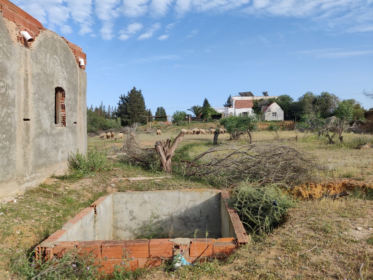 Hammamet Bir Bouregba Terrain Terrain nu Terrain 3 615 m2 a oued lassoued hammamet