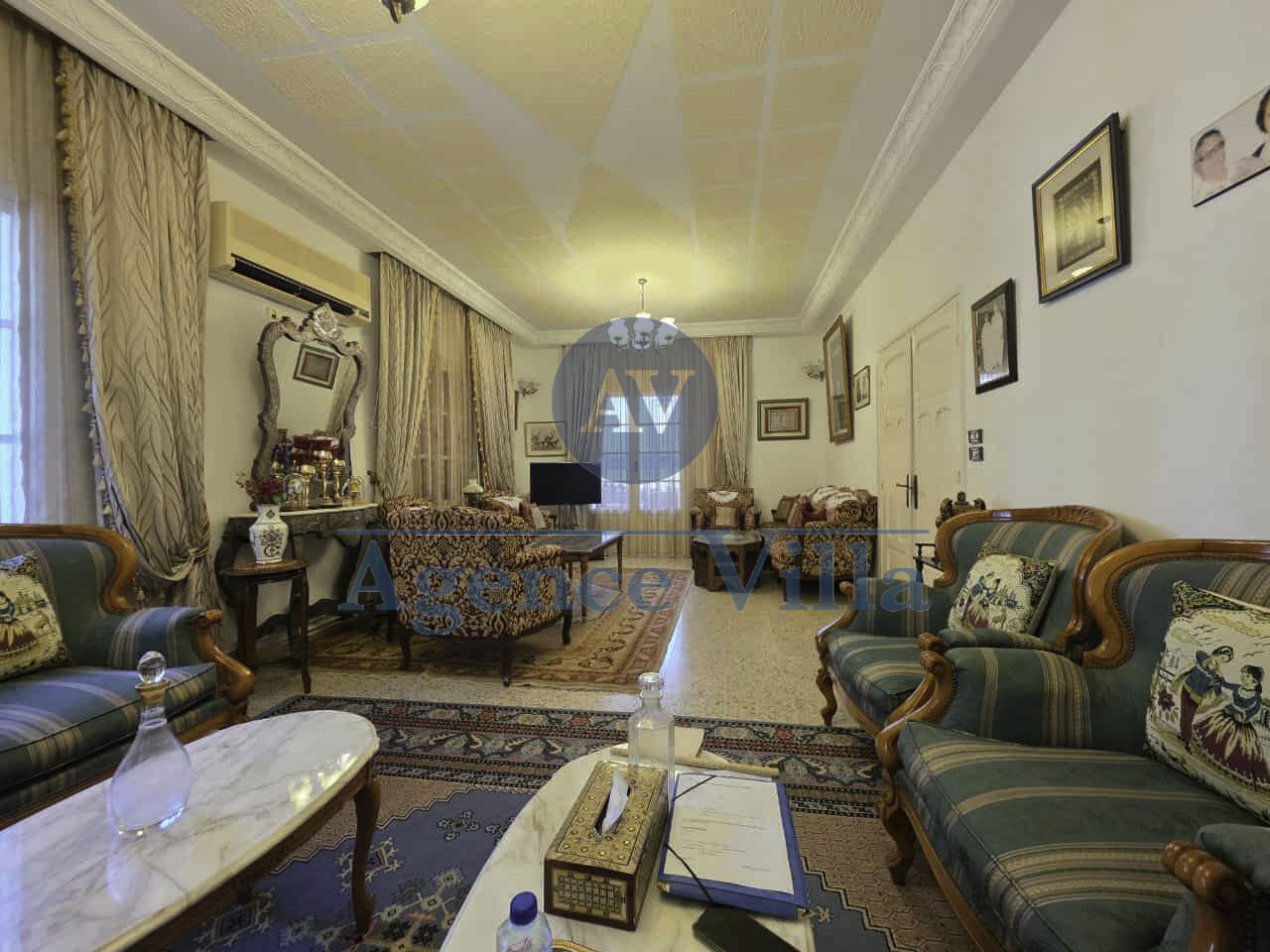 Carthage Cartage Byrsa Vente Maisons Une grande villa  carthage byrsa
