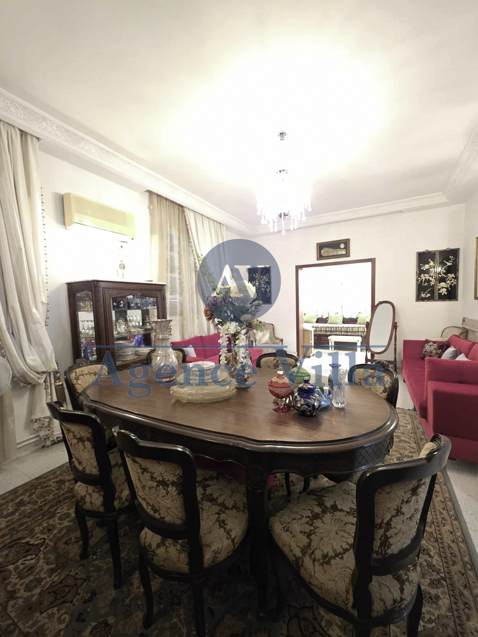 Carthage Cartage Byrsa Vente Maisons Une grande villa  carthage byrsa