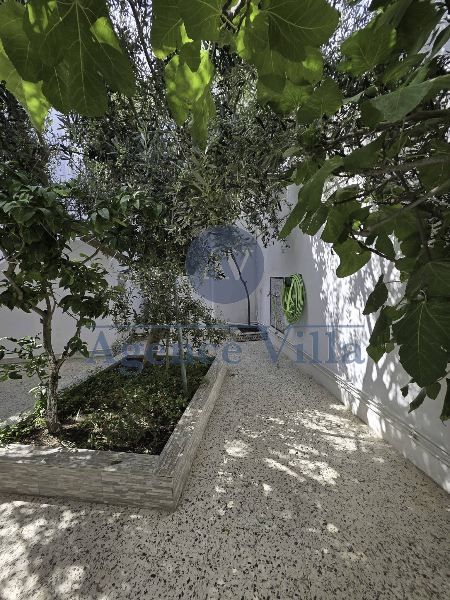 Carthage Cartage Byrsa Vente Maisons Une grande villa  carthage byrsa